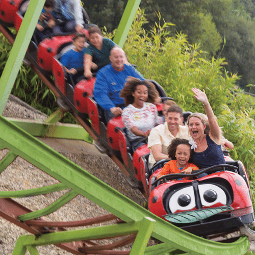 Lightwater Valley